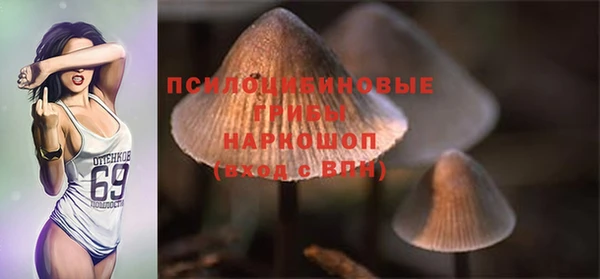 ECSTASY Горно-Алтайск